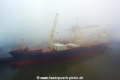 Antwerp Trader 250116-13.jpg