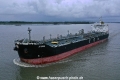Arion KH-081019-4.jpg
