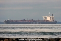 Formosapetro Giant (MS-151007-02).jpg