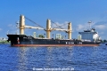 Atayal Brave (OK-300825-0).jpg
