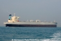E Elephant OS-130511-29.jpg