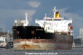 Arctic Blizzard KH-230416-2.jpg