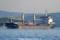 Aluna (OK-200824-1).jpg