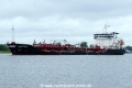 Anhout Swan (OK-130617-1).jpg