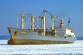 Erfurt (K1986-76).jpg