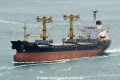Golden Bird HK-250618.jpg