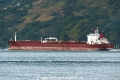 Arctic Flounder RV-080822-03.jpg