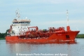Amonith (OK-010712-1).jpg