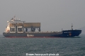 Toucan Arrow OS-271008-14.jpg