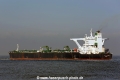 DS Crown (MM-120114-1).jpg