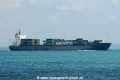 Anke OS-160115-07.jpg