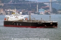 Asahi Princess (MM-131011-1).jpg
