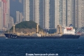 Jia Shan Guan OS-311008-02.jpg