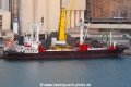 Hammer (LW-201021-01).jpg