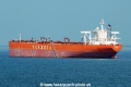 Formosapetro Giant HK-220712.jpg