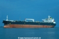 Aral Sea (K2004-MS).jpg