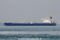 Eco Leader (MS-120417-02).jpg