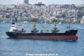 Golden Bird OS-240416-06.jpg