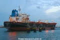 Ardmore Seafox TL-021022-1.jpg