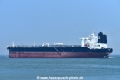 Ellinis (KB-D230622-14).jpg