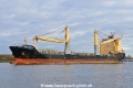 Angus (OK-160121-1).jpg