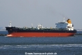 Arctic Blizzard (JS-070511-02).jpg