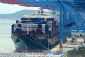APL Belgium (MS-260517-01).jpg
