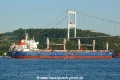 Alexandrit (OK-170714-3).jpg