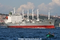 Andalucia Carrier (MS-130907-7).jpg