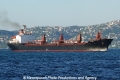 Al Amal (OK-020707-0).jpg