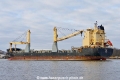 Angus (OK-160121-2).jpg