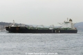 Archangel (OK-030315-1).jpg