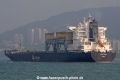 Toucan Arrow OS-271008-11.jpg