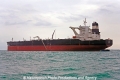 Eliza (MM-210212-1).jpg
