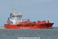 Amonith HK-150515.jpg