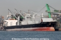 Global Standard RV-210712-02.jpg