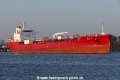 Huang Shan 16 (OK-220126-1).jpg