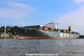 MSC Fillippa 240916-07.jpg