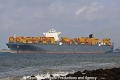 MSC Fabiola (JS-150511-07).jpg