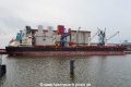 Golden Gemini (KB-D121117-02).jpg