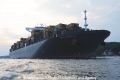 MSC Fabiola 030811-19.jpg