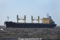 Golden Grains OS-050418-11.jpg