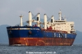 Glovis Madonna RV-150716-01.jpg