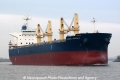 Global Phoenix OS-231112-07.jpg
