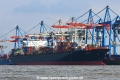 K Pegasus 230917-02.jpg