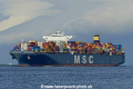 MSC Fillippa (KK-010917-0).jpg