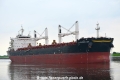Golden Leo OS-010817-08.jpg