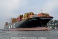 MSC Francesca 041010-16.jpg