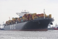 MSC Faustina 2805011-72.jpg