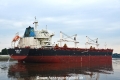 Golden Leo OS-010817-14.jpg